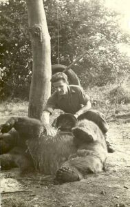 Miś Wojtek - wnętrze książki 4